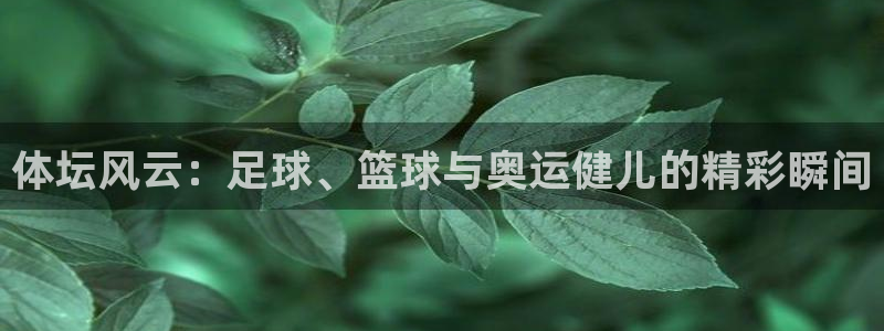 关键词：体坛风云：足球、篮球与奥运健儿的精彩瞬间