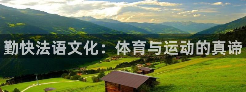 关键词