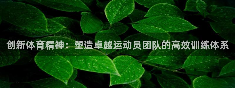 球深体育比分：创新体育精神：塑造卓越运动员团队的高效训练体系