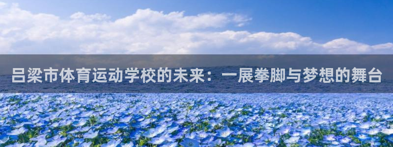 关键词：吕梁市体育运动学校的未来：一展拳脚与梦想的舞台