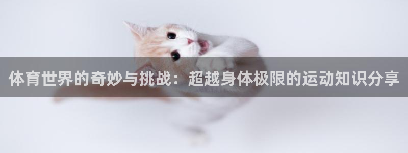 关键词