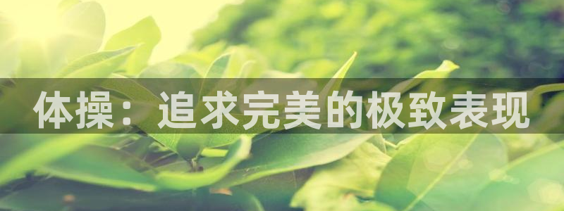 关键词：体操：追求完美的极致表现