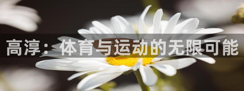 球深体育比分：高淳：体育与运动的无限可能