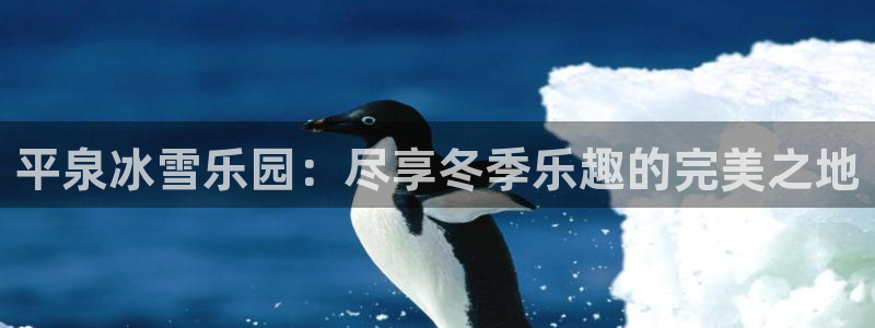 关键词