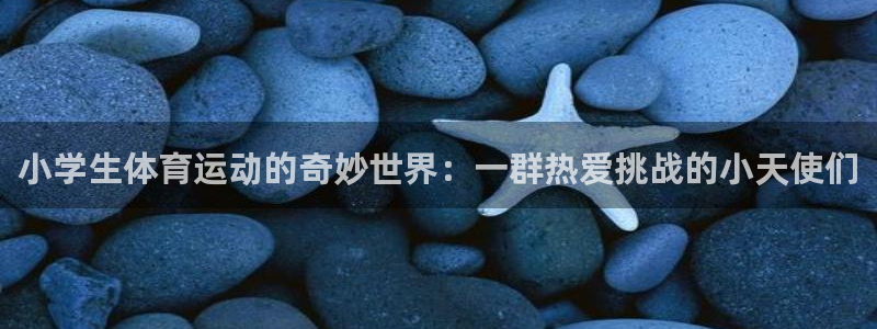 球深体育比分