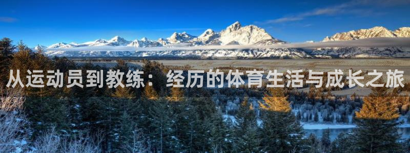 球深体育比分