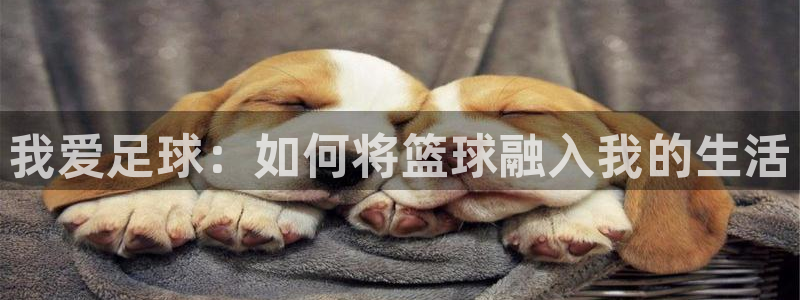 球深体育比分