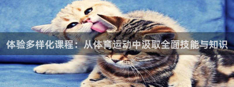 关键词