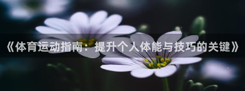 球深体育比分