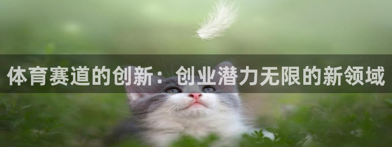 球深体育比分